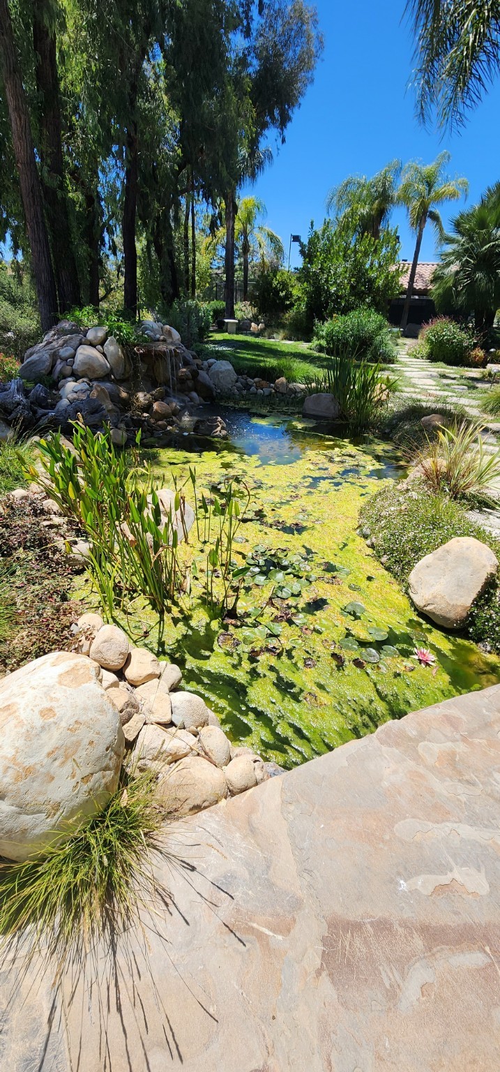 Westlake Village garden with a rock-lined pond and mature landscaping